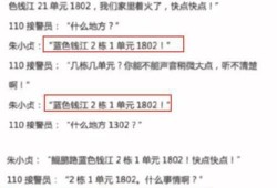韩国兽医爆料案件最新,揭露宠物食品行业惊人黑幕