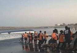 巴厘岛最新爆料新闻事件,最新爆料揭秘真相