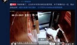 香港爆料家暴案视频最新,悲剧重演，社会关注女性安全