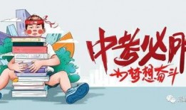 郑州猫舍爆料最新消息,揭秘猫咪界的神秘事件！