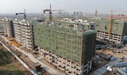 鹤壁耕德最新爆料,揭秘企业神秘面纱背后的故事